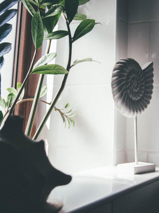 Willa Piwniczka Apartament Jahlowej Piwniczna-Zdroj Buitenkant foto