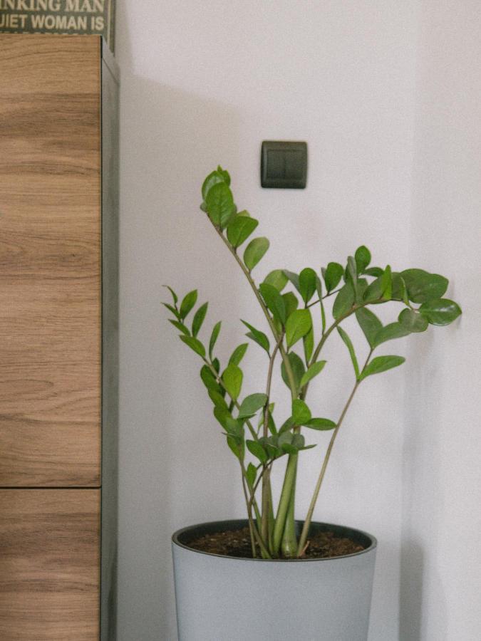 Willa Piwniczka Apartament Jahlowej Piwniczna-Zdroj Buitenkant foto